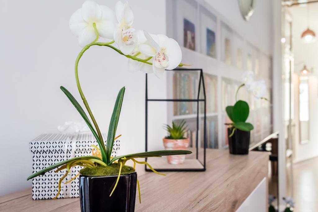Bpr Purehome Apartment Budapešť Exteriér fotografie
